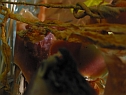 2006